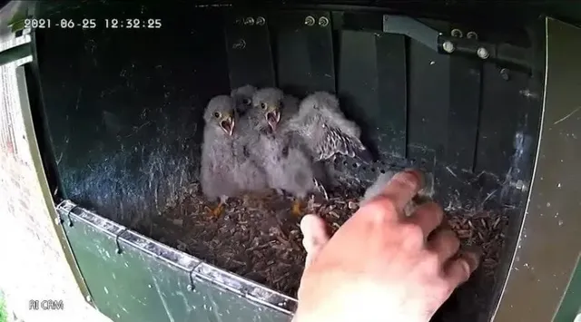 코스믹 호러란 무엇인가