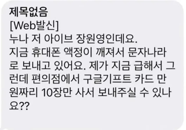 누나 저 아이브 장원영인데요