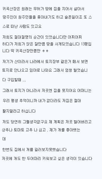 루리웹 방 사진갤 인증.jpg