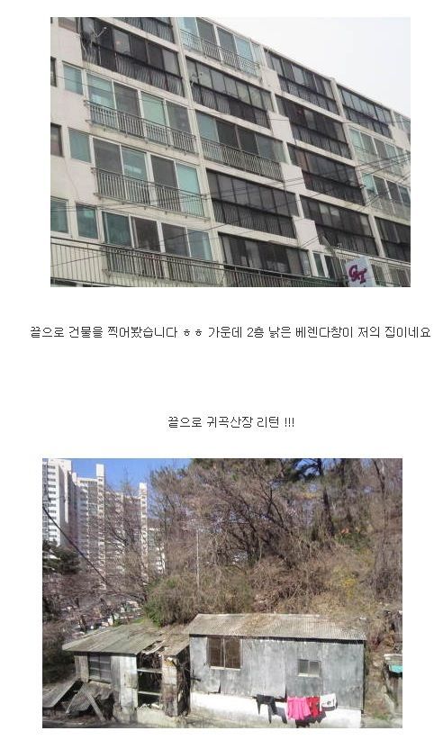 루리웹 방 사진갤 인증.jpg