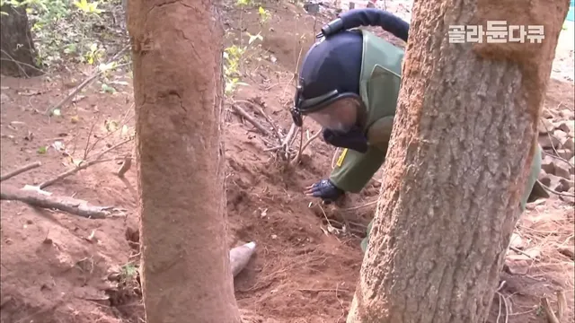 불발탄인줄 알았는데 부비트랩