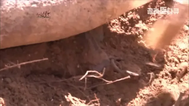 불발탄인줄 알았는데 부비트랩