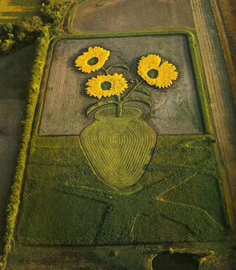 엄청난 대지아트