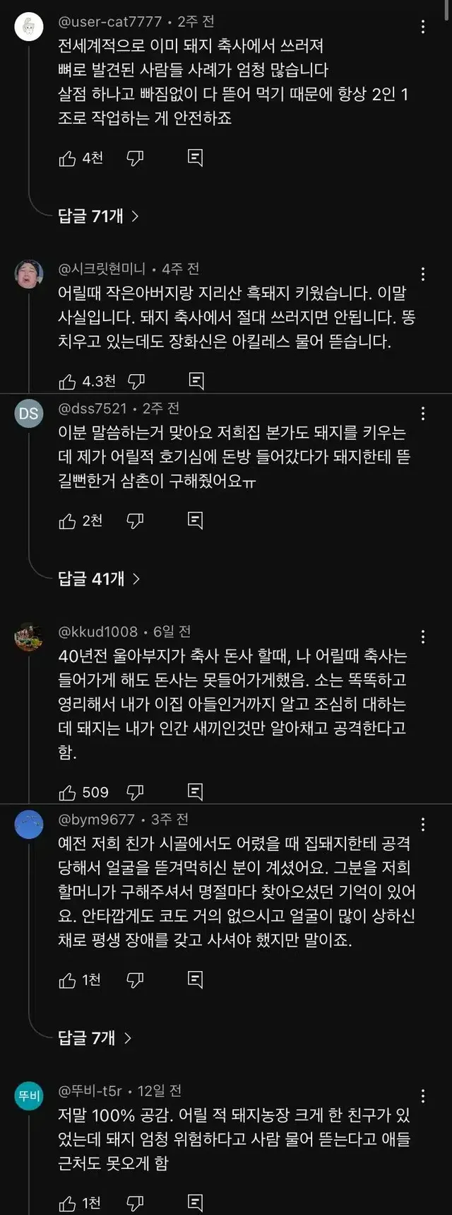 [괴담]우리가 돼지에 대해서 몰랐던 사실