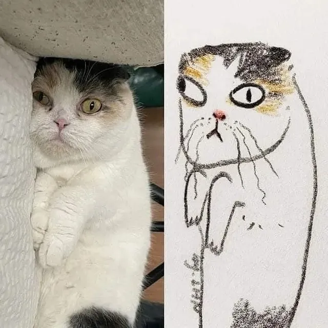 포인트를 잘 잡아서 그린 고양이 그림