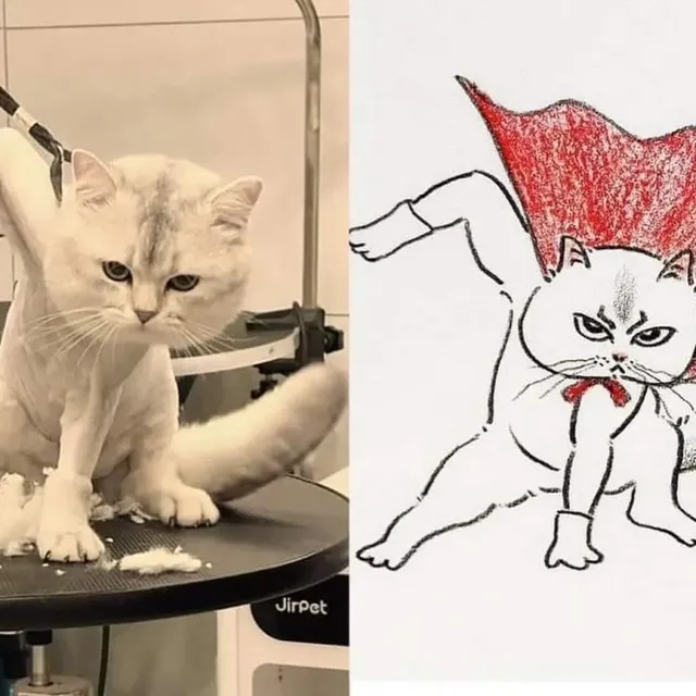 포인트를 잘 잡아서 그린 고양이 그림