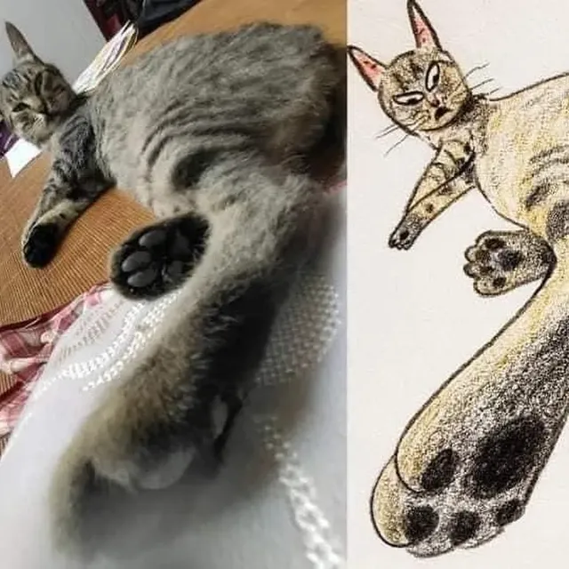 포인트를 잘 잡아서 그린 고양이 그림