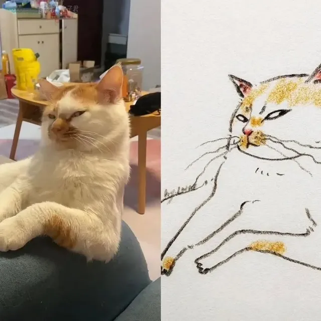포인트를 잘 잡아서 그린 고양이 그림