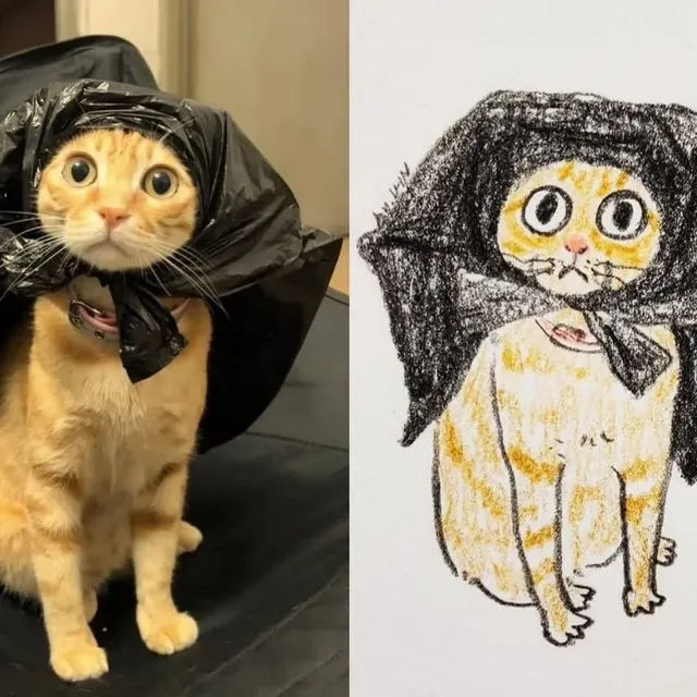 포인트를 잘 잡아서 그린 고양이 그림