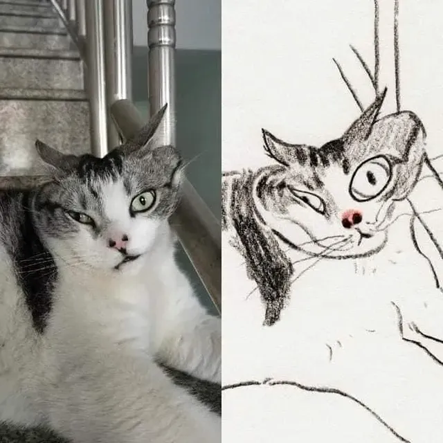 포인트를 잘 잡아서 그린 고양이 그림