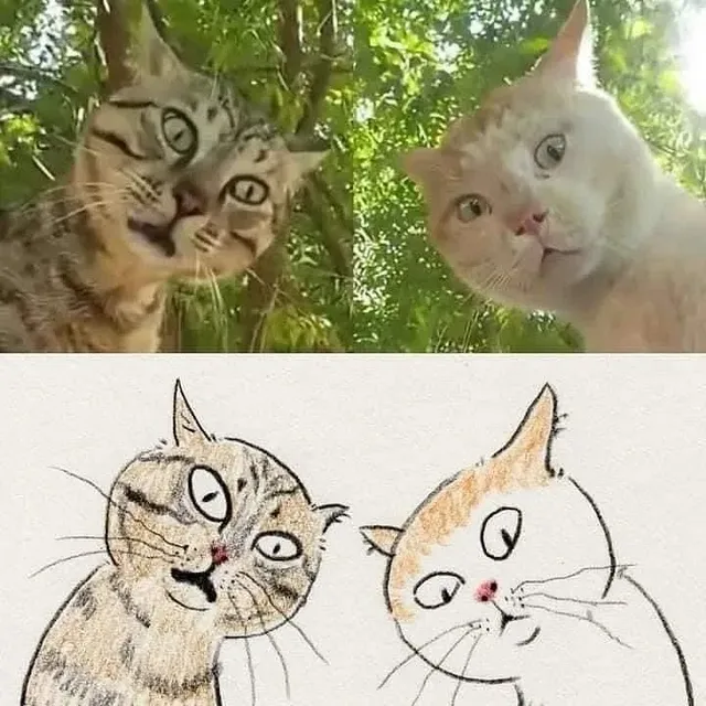 포인트를 잘 잡아서 그린 고양이 그림