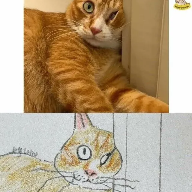 포인트를 잘 잡아서 그린 고양이 그림