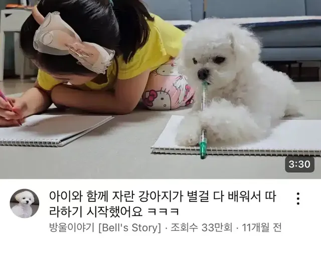 아이와 함께 자란 강아지