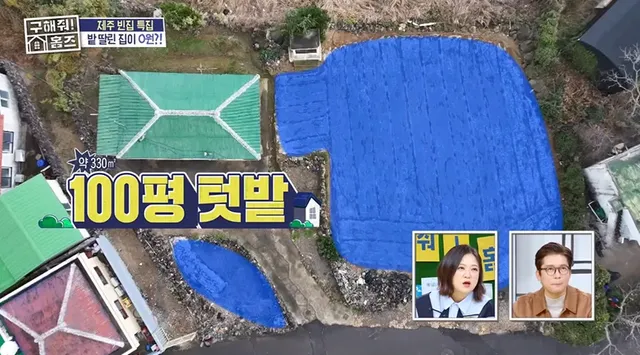 가장 글을 잘 쓰는 사람에게 집을 1년간 무료로 임대해 줍니다.