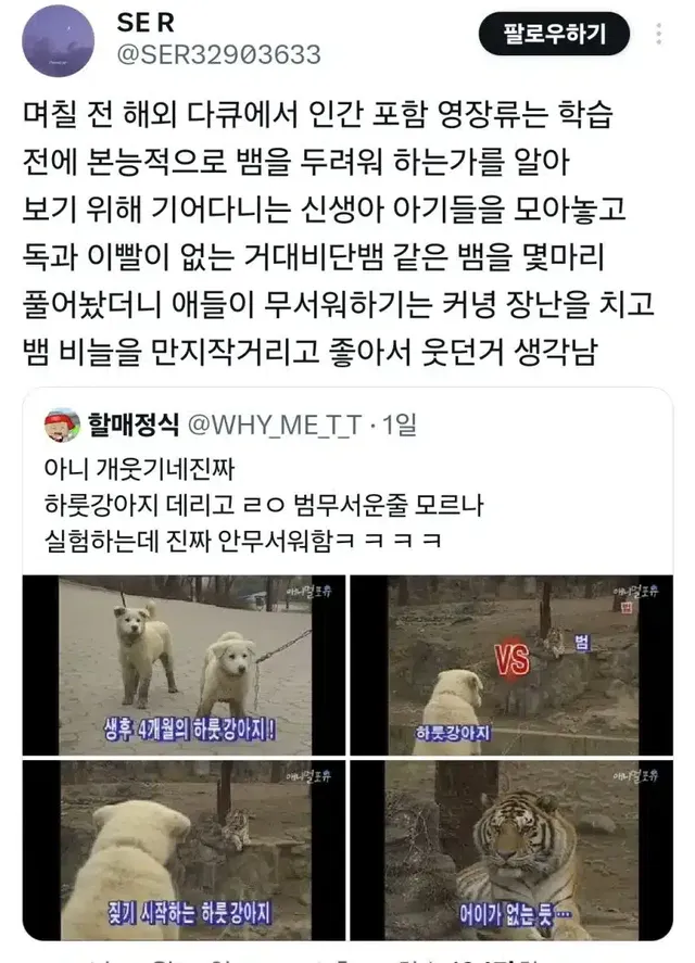 하룻강아지 범 무서운줄 모른다 - 인간판 실험