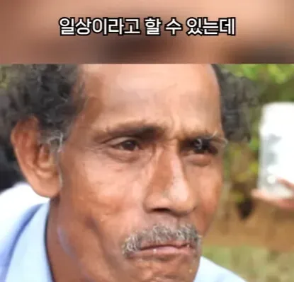 해외에서 먹으면 안되는 열매