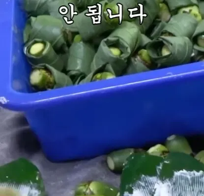 해외에서 먹으면 안되는 열매