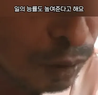 해외에서 먹으면 안되는 열매