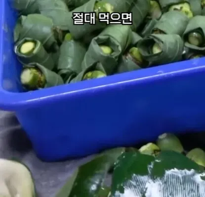 해외에서 먹으면 안되는 열매