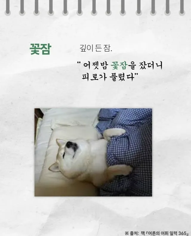 들을수록 귀엽고 예쁜 순수 우리말들