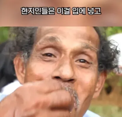 해외에서 먹으면 안되는 열매