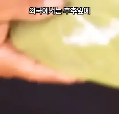 해외에서 먹으면 안되는 열매