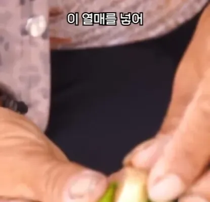 해외에서 먹으면 안되는 열매