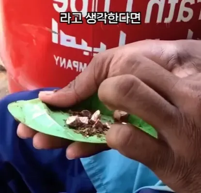 해외에서 먹으면 안되는 열매