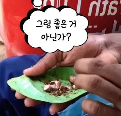 해외에서 먹으면 안되는 열매