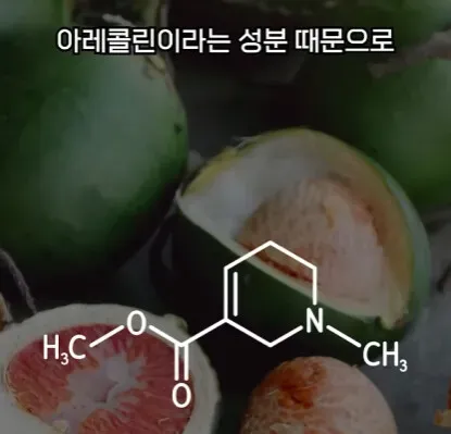 해외에서 먹으면 안되는 열매