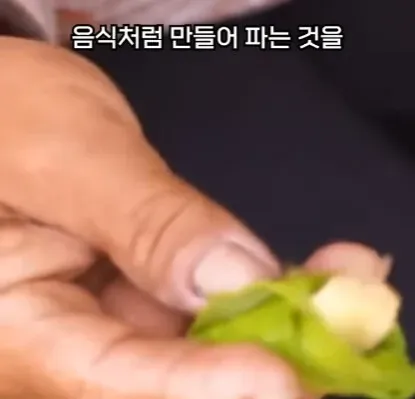 해외에서 먹으면 안되는 열매