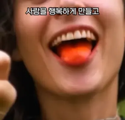 해외에서 먹으면 안되는 열매