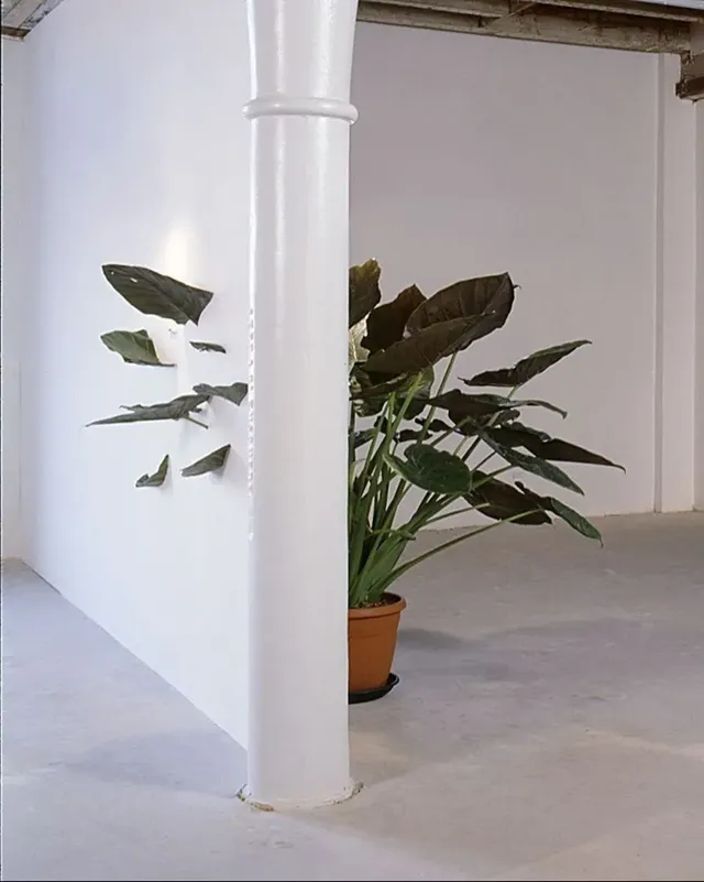 아씨 또 버그났네