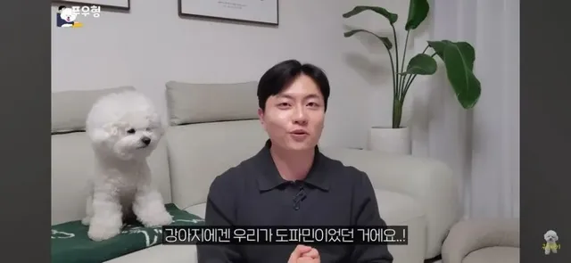 댕댕이에게 도파민 펌핑이 되는 행동