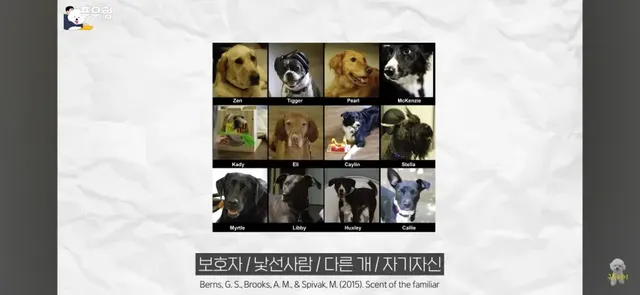 댕댕이에게 도파민 펌핑이 되는 행동