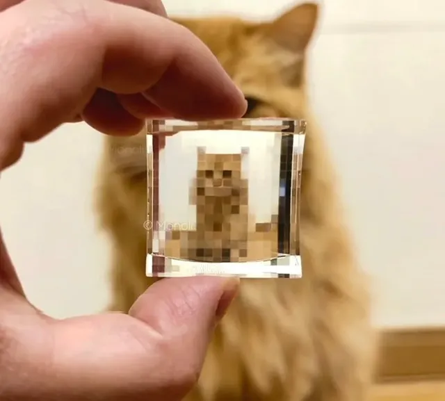 현실을 픽셀화 시켜버리는 아이템