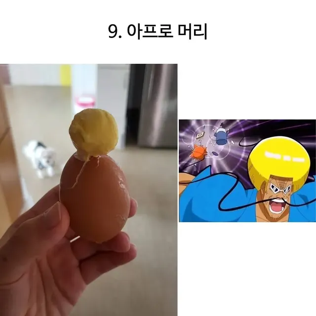 천하 제일 달걀 삶기 대회