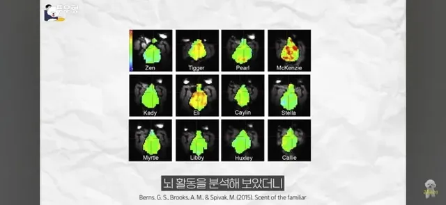 댕댕이에게 도파민 펌핑이 되는 행동