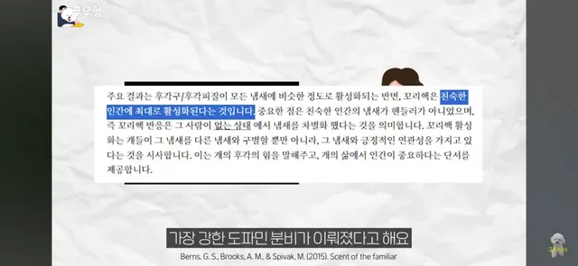 댕댕이에게 도파민 펌핑이 되는 행동