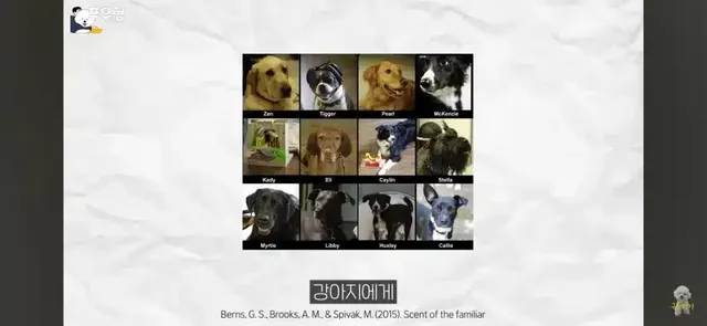 댕댕이에게 도파민 펌핑이 되는 행동