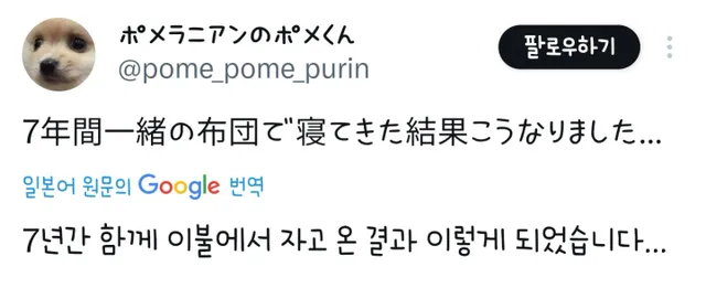 7년간 함께 이불에서 잔 결과 이렇게 되었습니다...