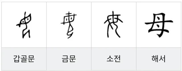 母와 女의 차이