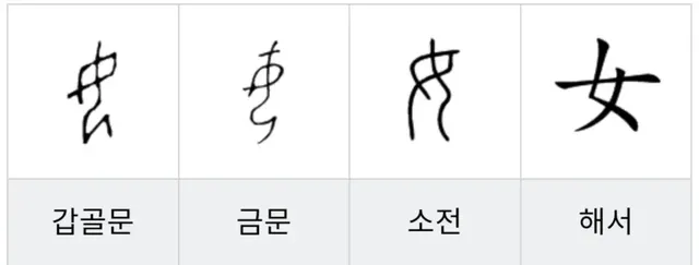 母와 女의 차이