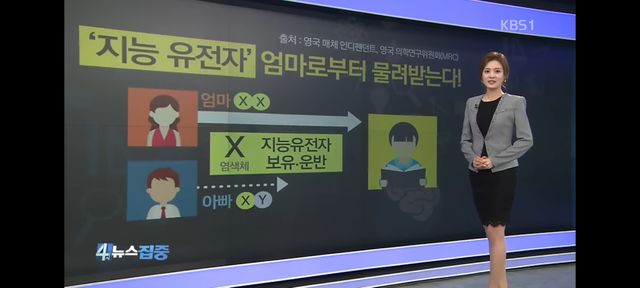 지능은 모계유전이 훨씬 크다.jpg