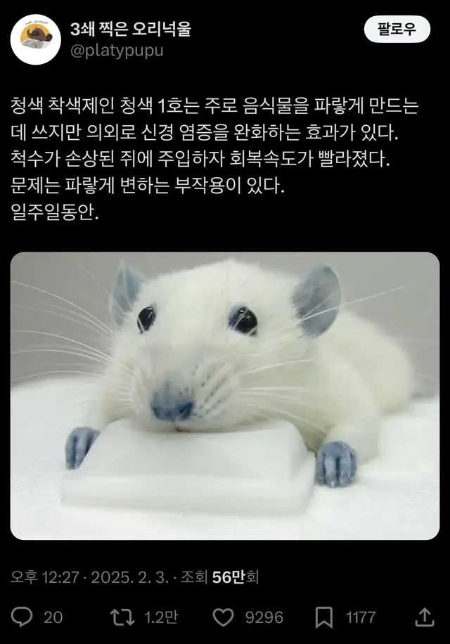 청색1호 식용색소의 의외의 효능