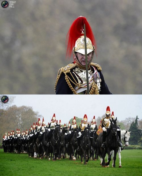 영국 왕실 기마대.jpg