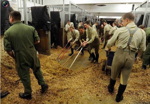 영국 왕실 기마대.jpg