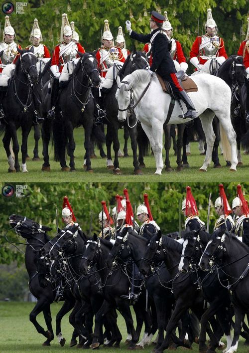 영국 왕실 기마대.jpg