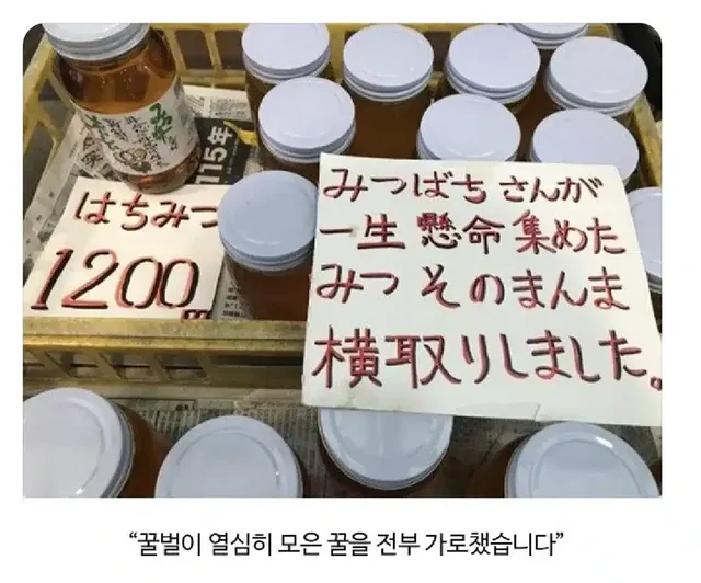 절도 자백하는 시장 상인