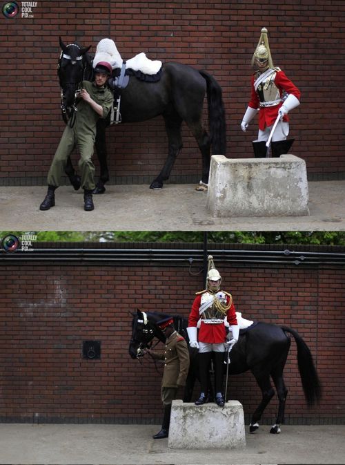 영국 왕실 기마대.jpg